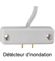 Détécteur d'inondation